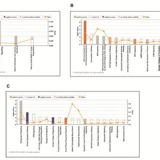 Top Canonical Pathways Enriched In Dkk Overexpressed Cells In