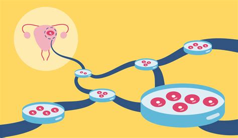 The Immortal Cell Line That Changed Synthetic Biology S Relationship