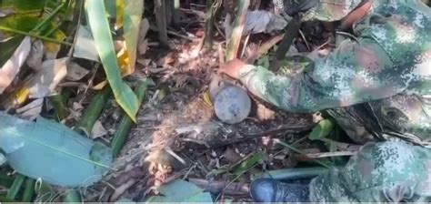 Ejército Nacional Neutralizó 14 Artefactos Explosivos En Arauca News Radio Arauca