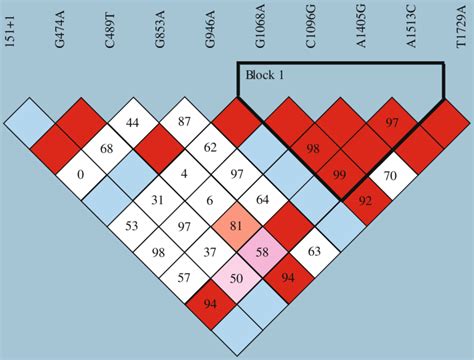 Haploview Analysis Of Pairwise Linkage Disequilibrium In The P Rx Gene