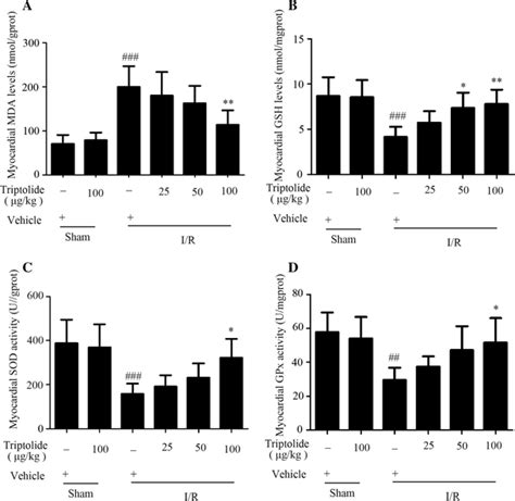 Triptolide Attenuates Myocardial Oxidative Stress In Ischemic Rats