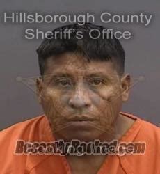 Recent Booking Mugshot For Jorge Alberto Ortiz In Hillsborough County