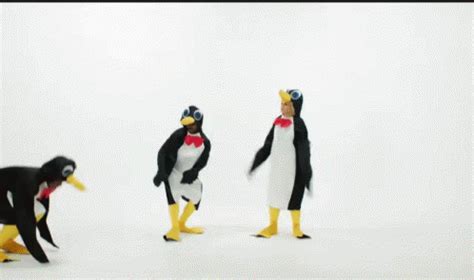 Slide Penguin GIF - Slide Penguin PenguinDive - Discover & Share GIFs