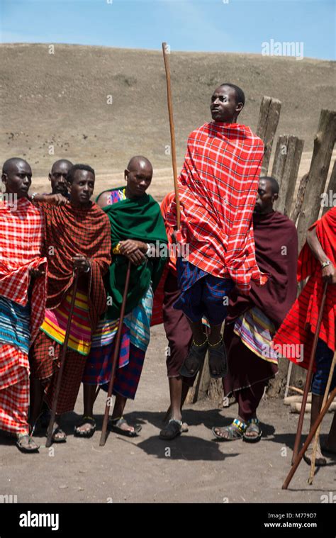 Masai Tribesmen Performing A Dance In The Ngorongoro Conservation Area