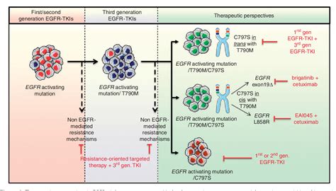 Pdf Molecular Mechanisms Of Acquired Resistance To Third Generation