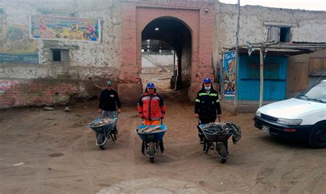 Municipalidad De Aucallama Realiza Jornada De Limpieza En Casa Hacienda