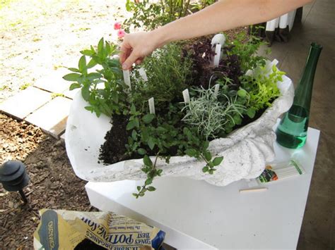 Create a Stunning Herb Container Garden | HGTV