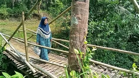 Serpihan Surga Di Desa Kampung Di Tengah Sawah Desa Cimahpar