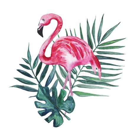 Two Pink Flamingos In Love Forming A Heart Watercolor Illustration