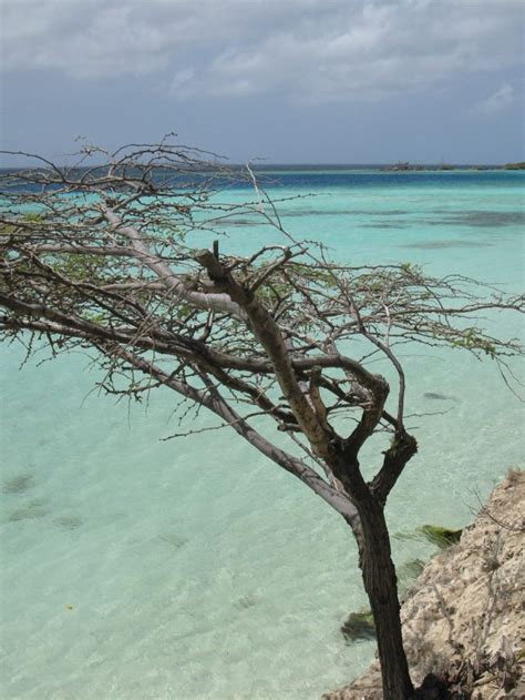 BEST BEACHES FOR SNORKELING IN ARUBA STORY - Sophie's Suitcase