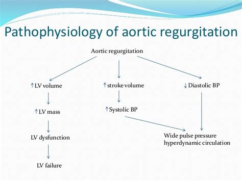 Aortic Regurgitation Pulse Pressure