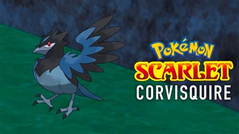 Pokemon Scarlet Catching Corvisquire Filling The Pokedex Youtube