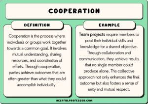 35 Cooperation Examples (2025)