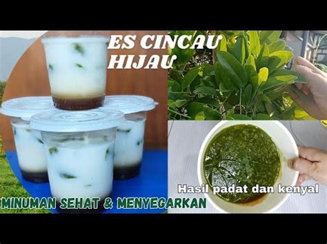 Cara Mudah Membuat Es Cincau Hijau Hasil Padat Kenyal Dan Tidak