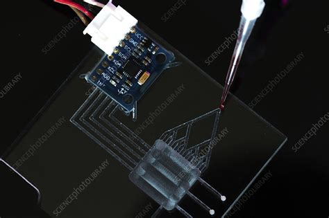 Lab on a chip - Stock Image - F021/3984 - Science Photo Library