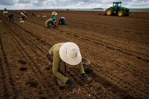 Cna Orienta Federa Es Sobre Novas Obriga Es Dos Produtores Rurais