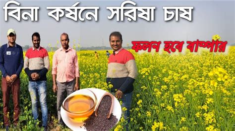 Mustard Crop Farming In West Bengal Mustard Cultivation Mustard Farming