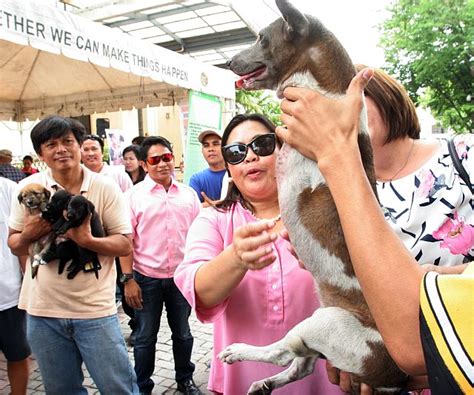 Askals Take Center Stage In Asong Pinoy Day Cebu Daily News