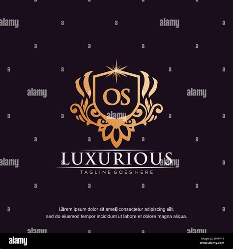 OS Initial Letter Luxury Ornament Gold Monogram Logo Template Vector