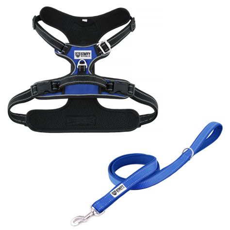 Blue Harness And Leash Bundle Staffy Republic