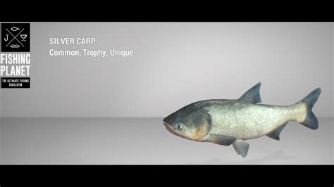 Fishing Planet Sander Baggersee Lake Trophy Silver Carp Float