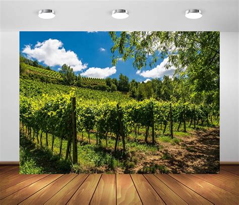 Amazon BELECO 7x5ft Fabric Vineyard Backdrops For Photography