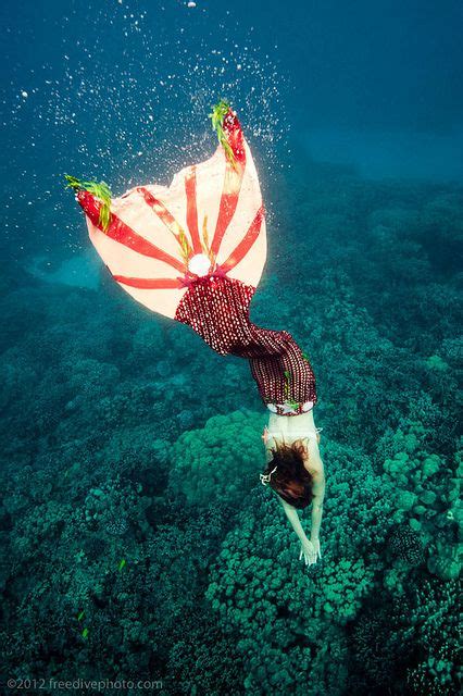 Newest Mermaid Tail Shot In Coral Reef On The Big Island Photo By