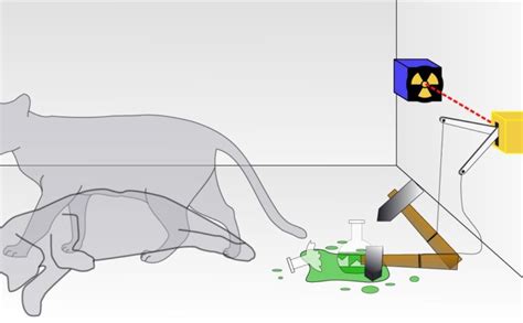 Schrödinger’s Cat Experiment For Dummies (Simple Explained)