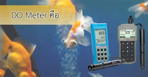 รู้จัก Do Meter คืออะไรในการวัดปริมาณออกซิเจนที่ละลายในน้ำ