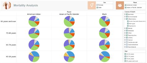 Database Visualization Software Inetsoft