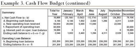 Twelve Steps To Cash Flow Budgeting Ag Decision Maker