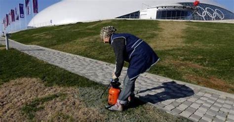 They Re Painting The Grass Green At Sochi Why Is The Grass Supposed To Be Green Imgur