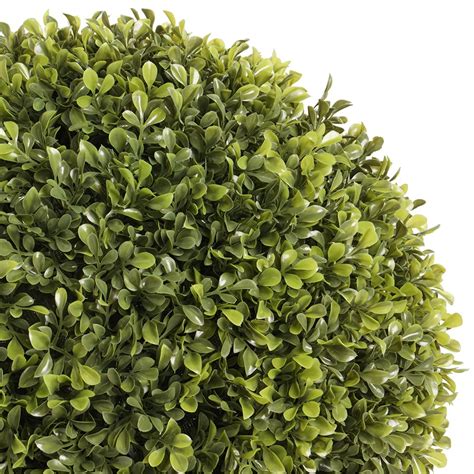 Artificial Boxwood Ball D Cors V Ronneau