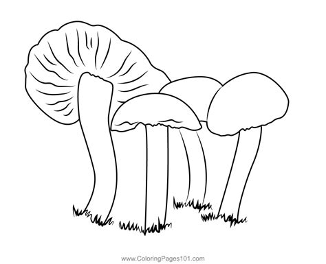 Fungi Coloring Worksheet Coloring Pages The Best Porn Website