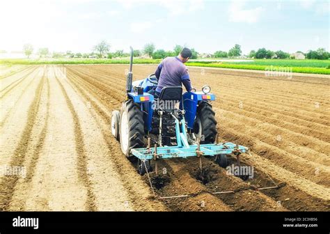 Farmer On A Tractor Making Ridges And Mounds Rows On A Farm Field