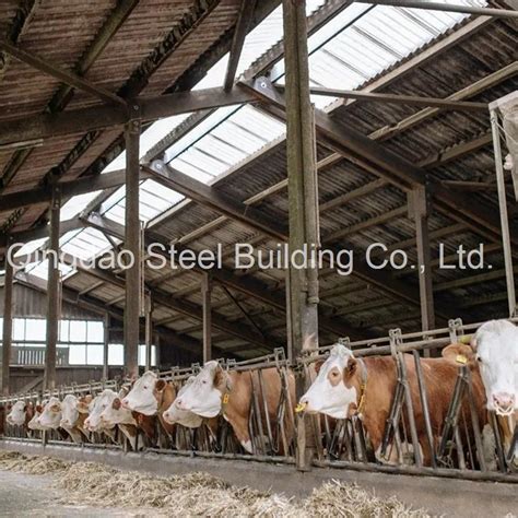 Portable Frame Prefab Steel Structure Goat Farm Shed Cow Shed Steel