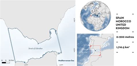 Strait of Gibraltar ISRA - Important Shark Ray Areas