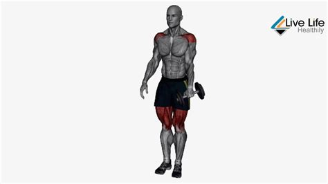 11 Best Hip Hinge Exercises That Can Help Build Strength