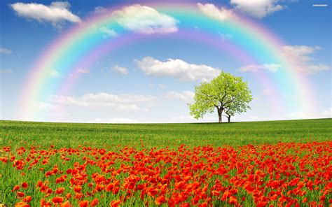 Beautiful Beautiful Rainbow Nature Wallpaper wallpaper