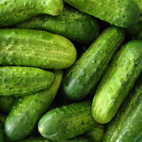 National Pickling Cucumber Seeds - Victory Gardeners