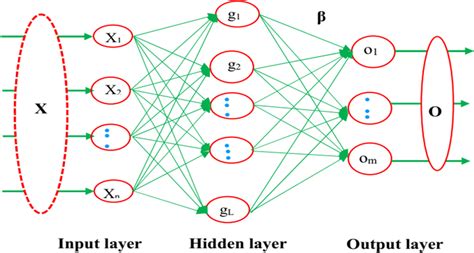 The structure of the ELM model | Download Scientific Diagram