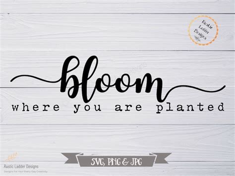 Bloom Where You Are Planted Svg Inspirational Saying Etsy