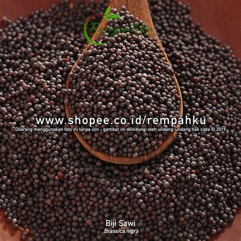 Jual Rempahku Biji Sawi Gr Premium Black Mustard Seeds Biji Sesawi