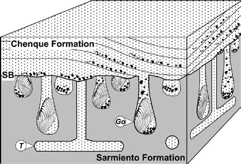 schematic representation   studied erosive surface showing