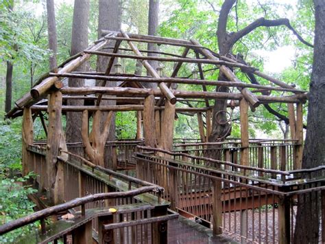 Treehouse at Longwood Gardens | Longwood gardens, Tree house, Longwood