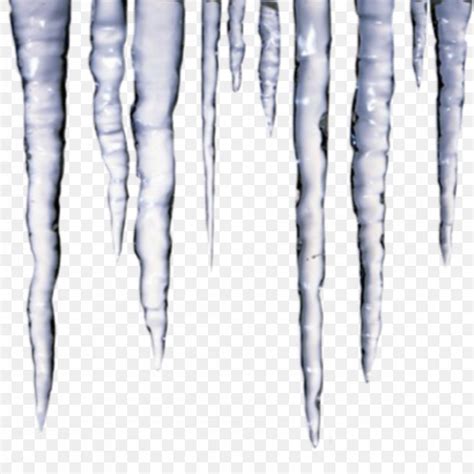 Icicle Clip Art PNG 900x900px Icicle Black And White Branch