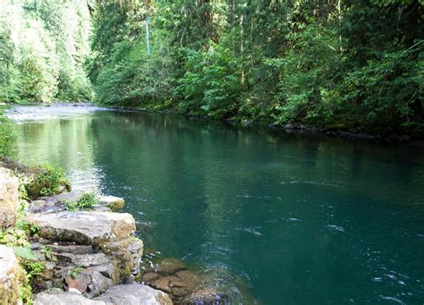 31 Best Beaches Swimming Holes In And Around Portland Oregon River