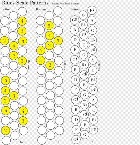 Diagrama De Acordeon De Sol Introducir 106 Images Escalas E