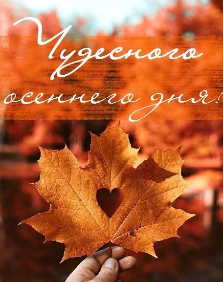 Картинка - Желаю чудесного осеннего дня (Хорошего осеннего дня) скачать