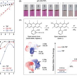 Photodynamic Inactivation Of E Coli O157 H7 A Schematic Illustration